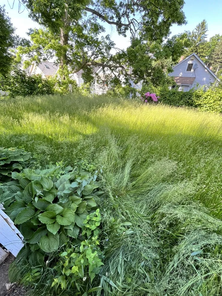 Top-rated yard maintenance in Randolph, MA by U-Haul Boyz Moving and Landscaping