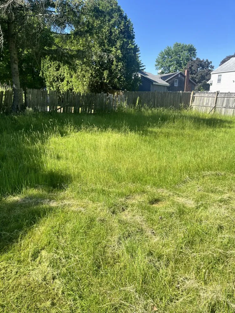 Affordable landscape design in Randolph, MA - U-Haul Boyz Moving and Landscaping