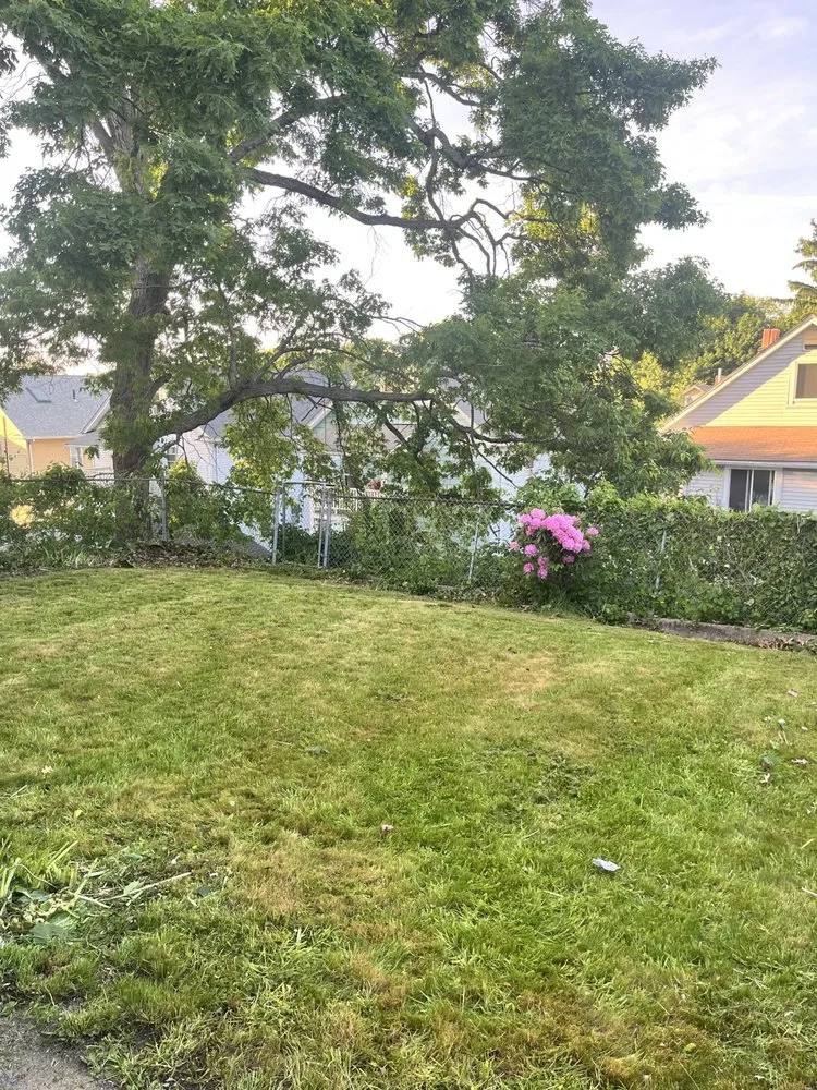 Expert yard cleanup service in Randolph, MA - U-Haul Boyz Moving and Landscaping