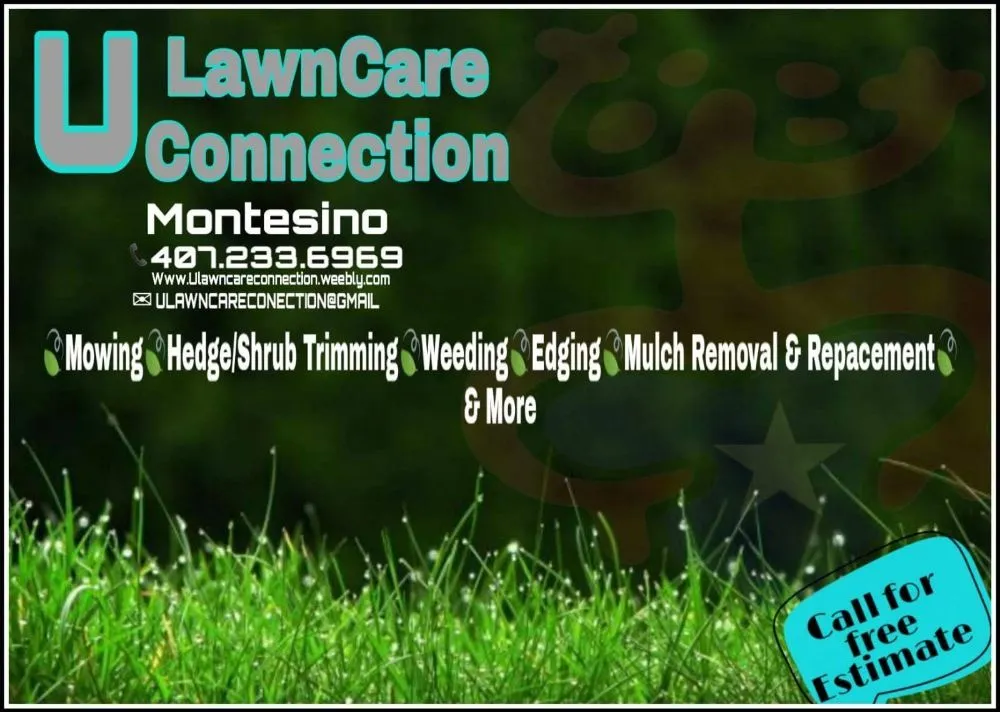 Professional lawn care service for year-round maintenance in Orlando, FL by U LawnCare Connection