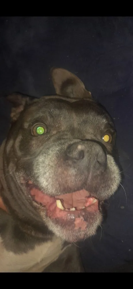 Professional garden landscaping for year-round maintenance in Lafayette, LA by U Name It