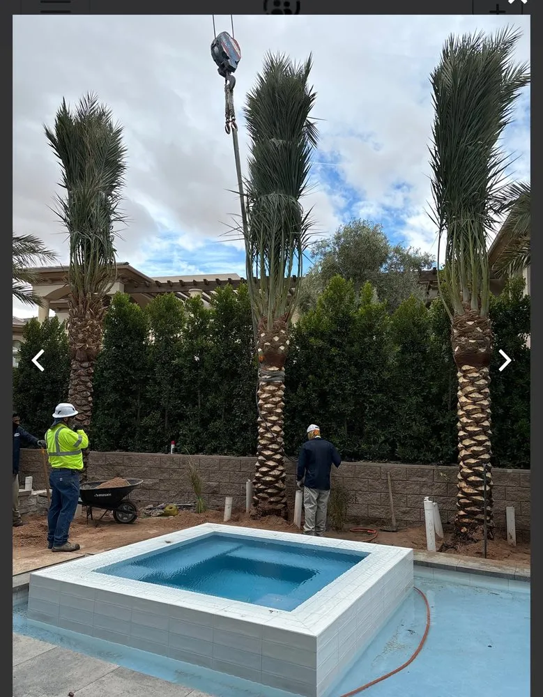 Top-rated landscape installation experts serving Las Vegas, NV - ​U S Lawns - ​Las Vegas