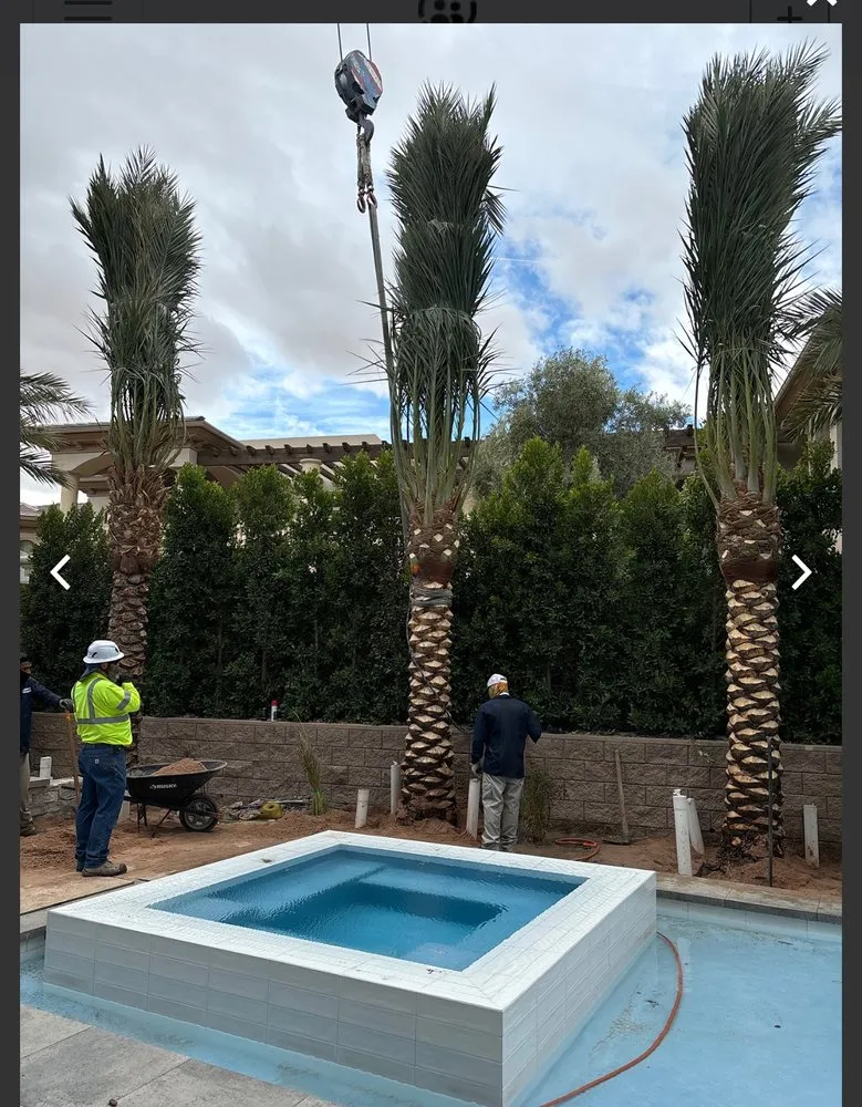 Trusted garden landscaping for beautiful yards in Las Vegas, NV by ​U S Lawns - ​Las Vegas