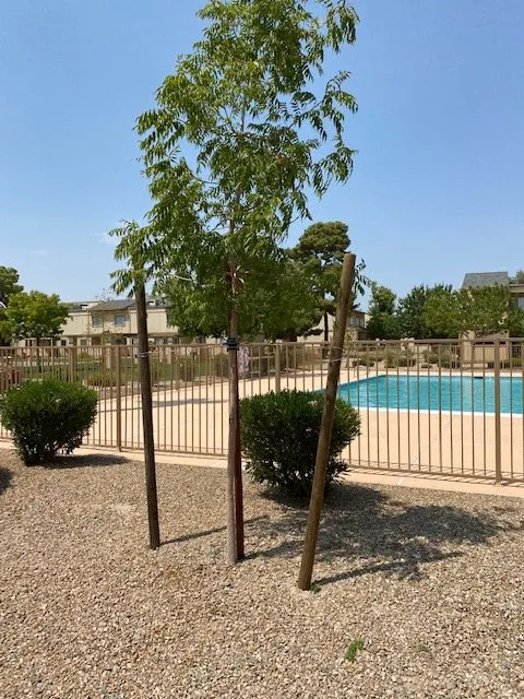 Professional lawn care service for beautiful yards in Las Vegas, NV by ​U S Lawns - ​Las Vegas