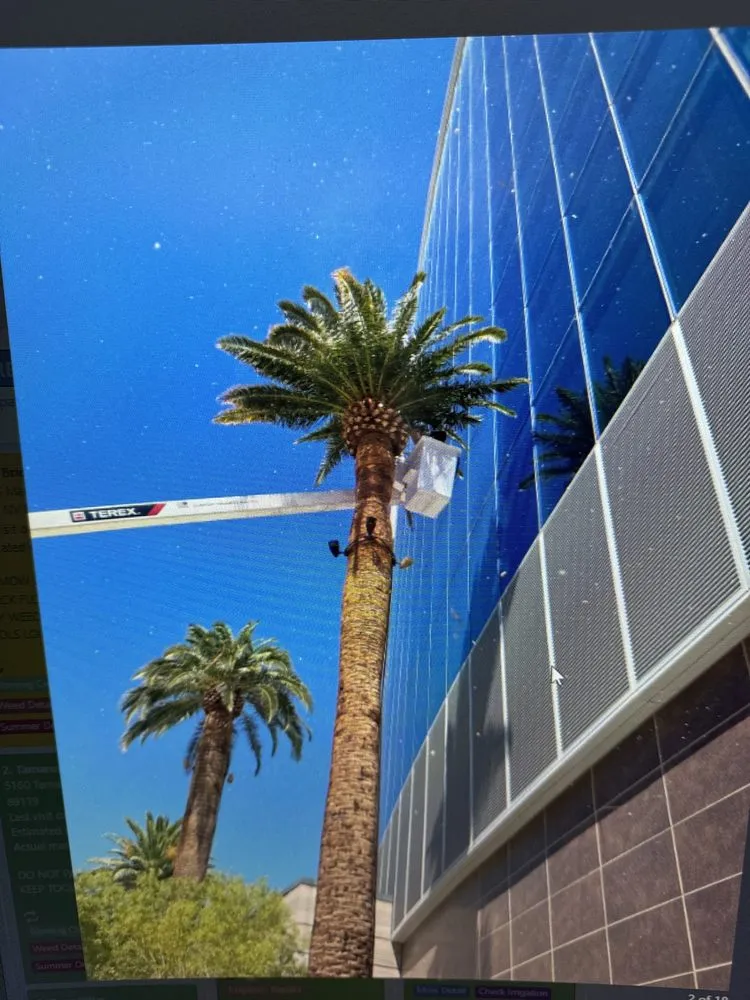 Custom garden landscaping experts serving Las Vegas, NV - ​U S Lawns - ​Las Vegas