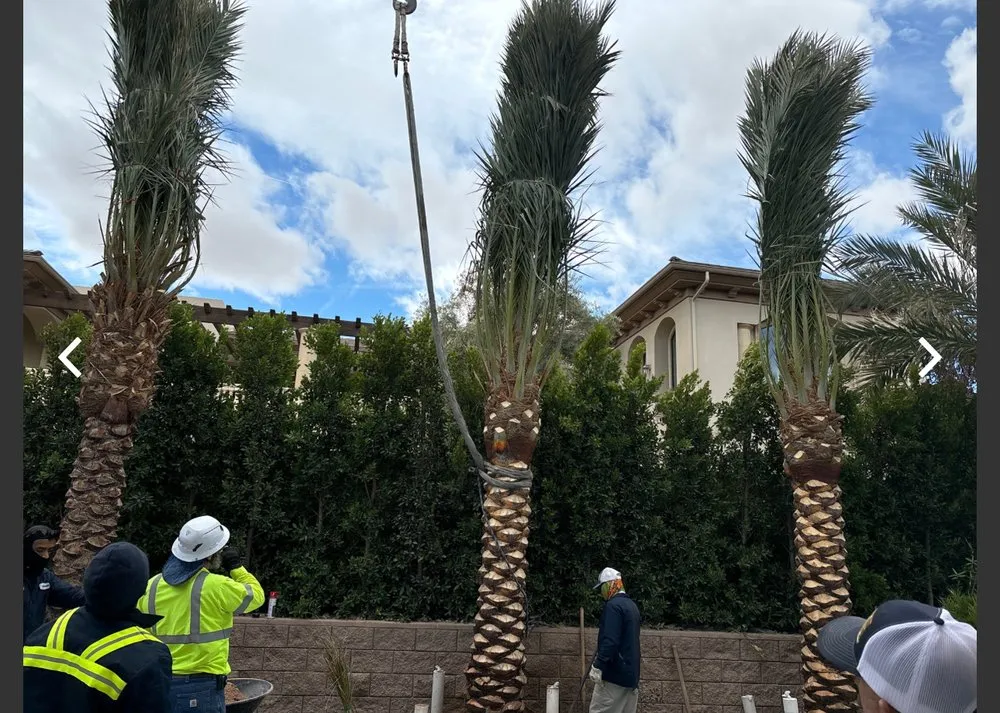 Top-rated landscape installation in Las Vegas, NV by ​U S Lawns - ​Las Vegas