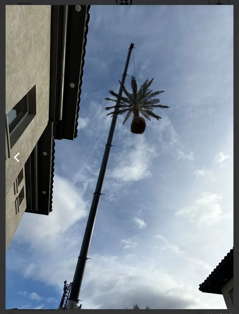 Affordable yard maintenance in Las Vegas, NV by ​U S Lawns - ​Las Vegas