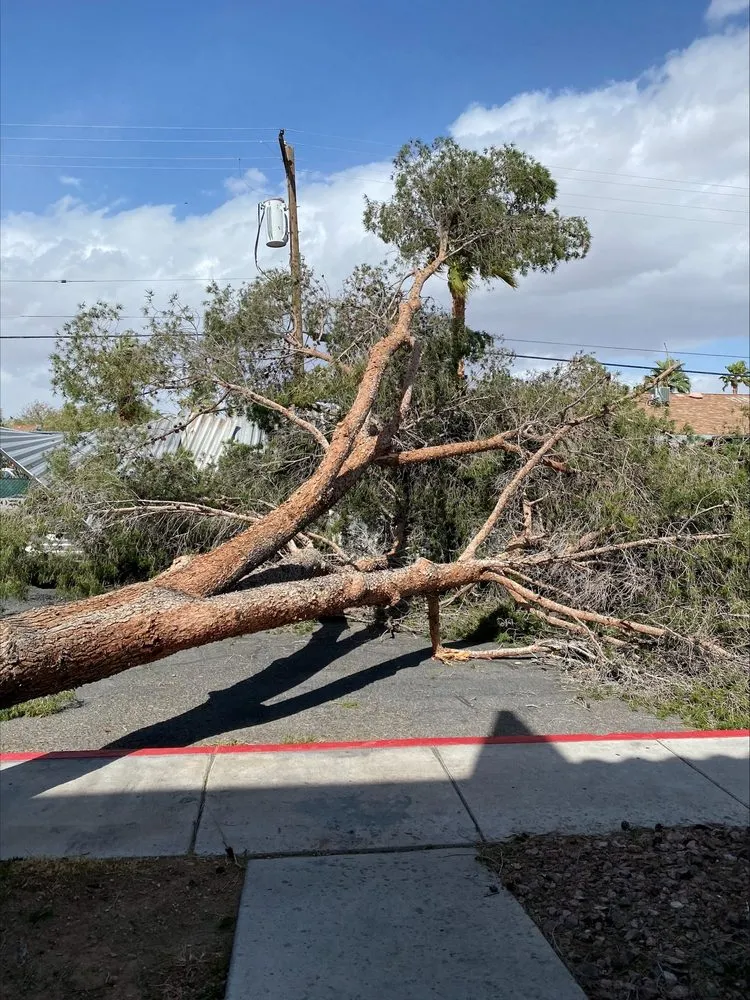 Top-rated residential landscaping for homes across Las Vegas, NV - ​U S Lawns - ​Las Vegas