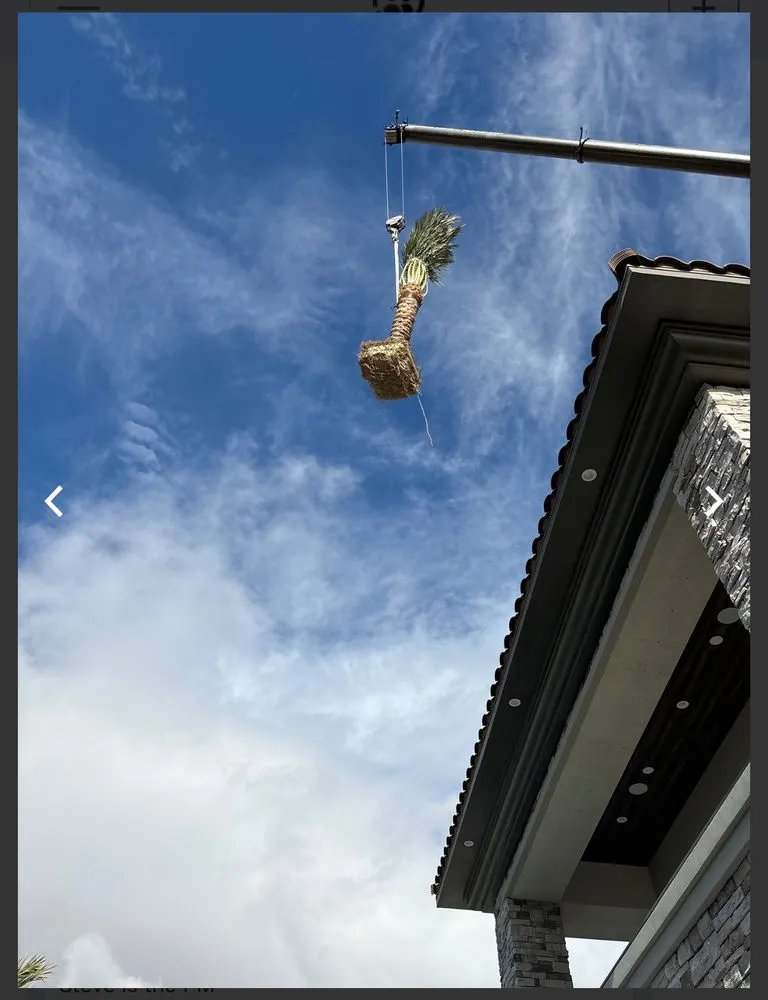 Custom landscape design for year-round maintenance in Las Vegas, NV by ​U S Lawns - ​Las Vegas