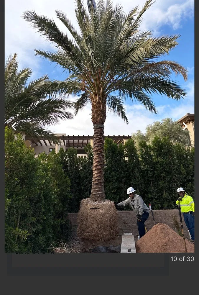 Custom landscape design in Las Vegas, NV by ​U S Lawns - ​Las Vegas