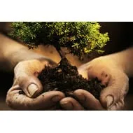 U&B Landscaping Service