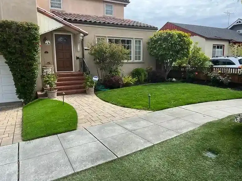 Reliable yard maintenance experts serving San Mateo, CA - Ubaldo Garden Services