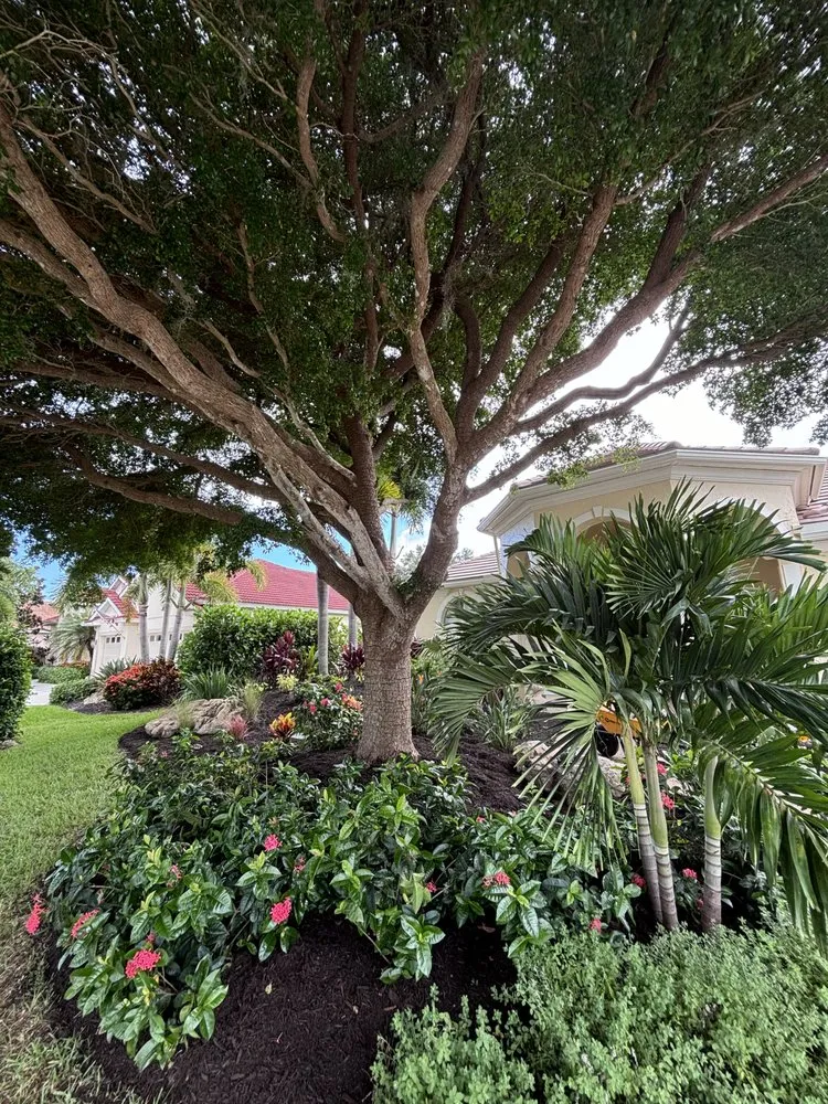 Custom landscape design near you across Sarasota, FL - Ubben Earthworx