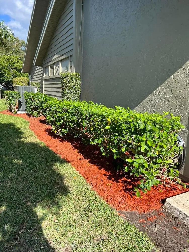 Reliable residential landscaping in Sarasota, FL by Ubben Earthworx