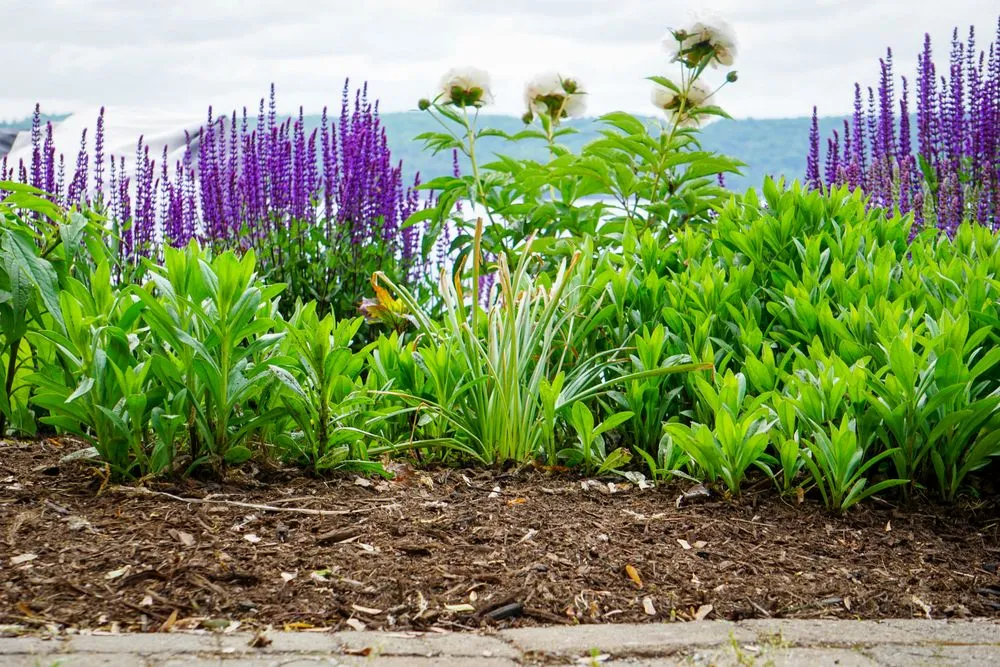 Expert landscaping services for homes in Canandaigua, NY by Uber Lawns & Landscape