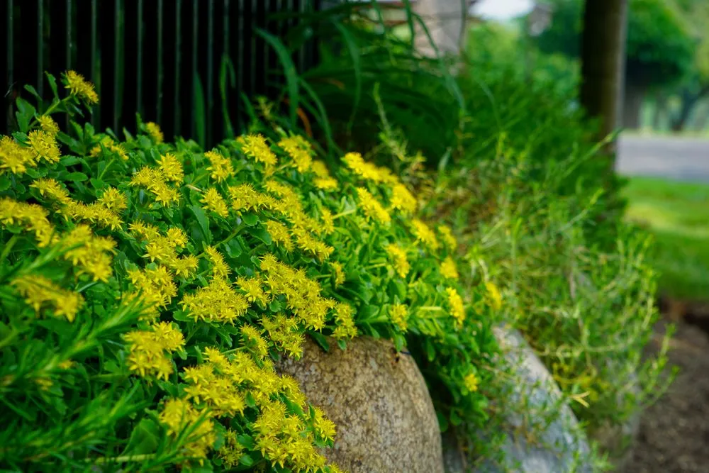 Affordable garden landscaping experts serving Canandaigua, NY - Uber Lawns & Landscape