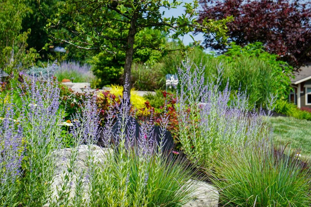 Expert yard maintenance for beautiful yards across Canandaigua, NY - Uber Lawns & Landscape