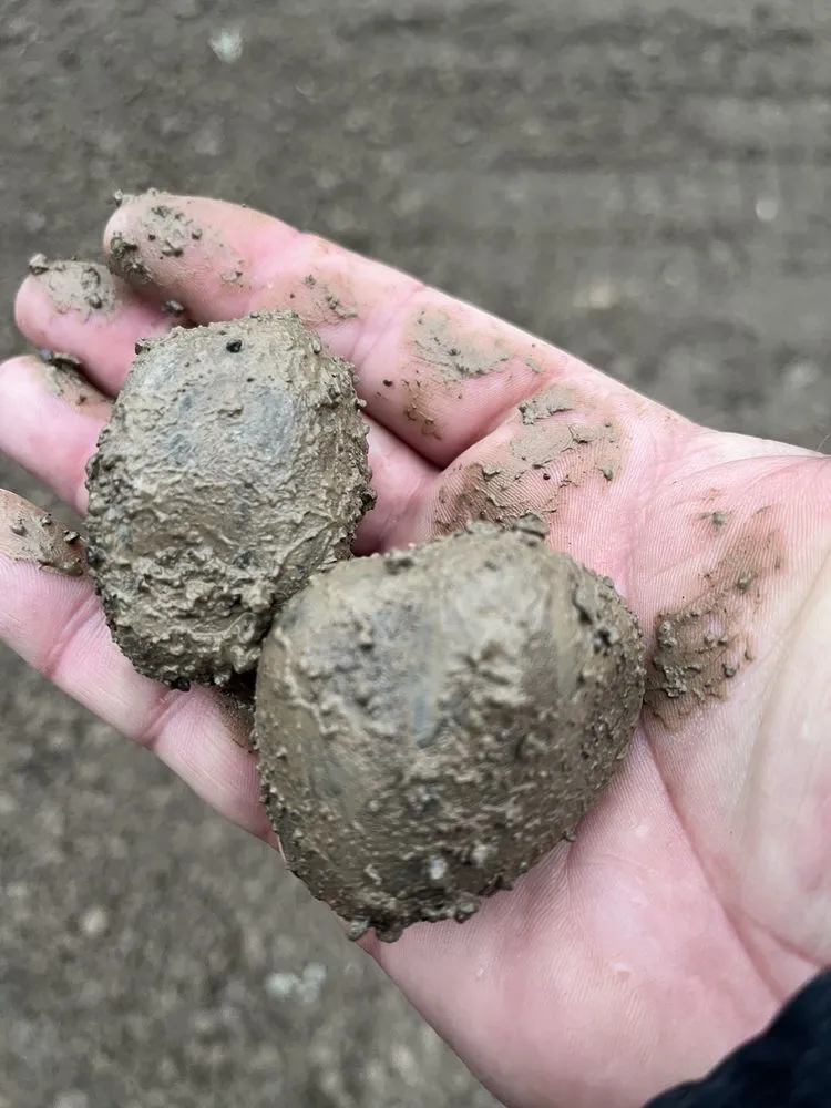 Local landscape installation for year-round maintenance across Canandaigua, NY - Uber Lawns & Landscape