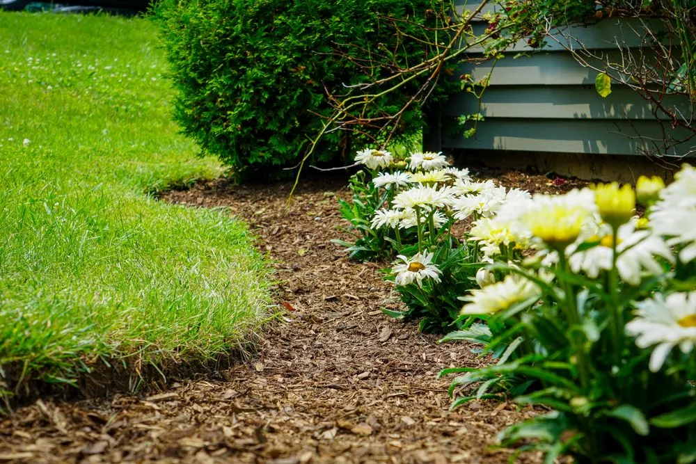 Affordable yard maintenance in Canandaigua, NY - Uber Lawns & Landscape