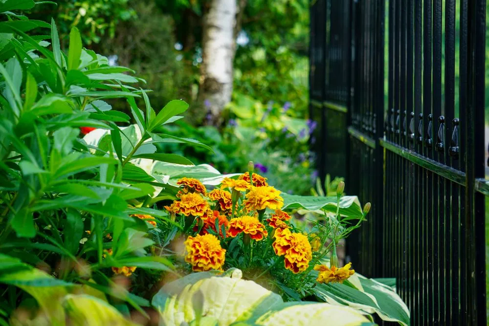 Top-rated landscape installation experts serving Canandaigua, NY - Uber Lawns & Landscape