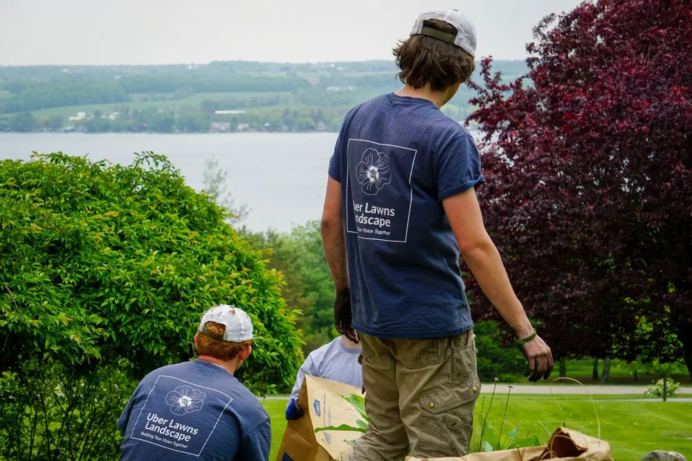 Trusted lawn care service for year-round maintenance across Canandaigua, NY - Uber Lawns & Landscape