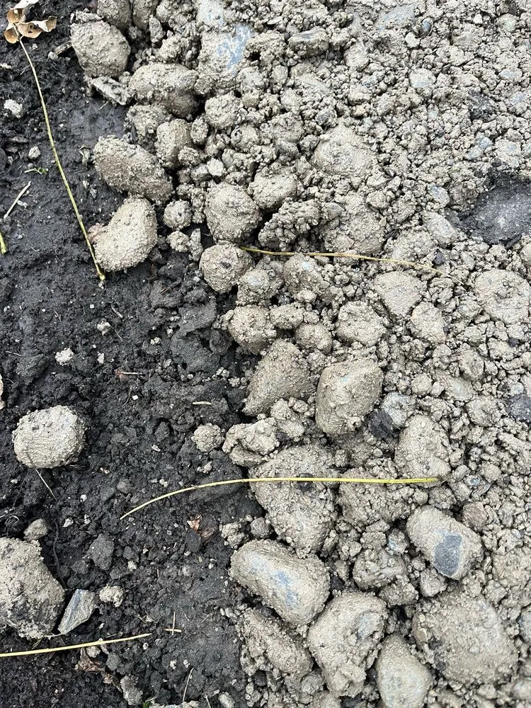 Local lawn mowing service in Canandaigua, NY by Uber Lawns & Landscape