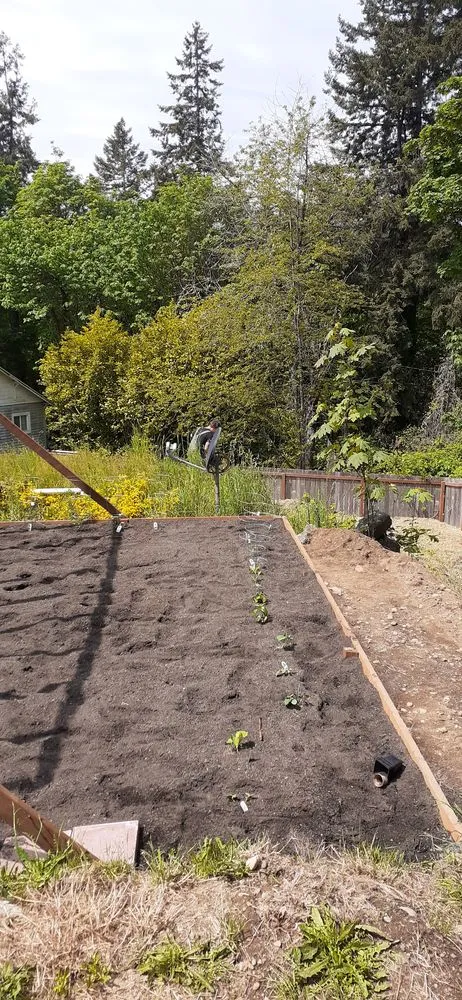 Local yard maintenance for year-round maintenance in Poulsbo, WA by Uber's Handyman Service