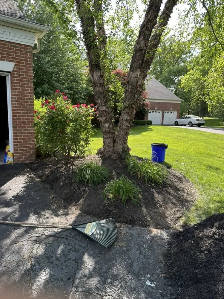 Local yard cleanup service for outdoor upgrades across Maple Glen, PA - UD Landscaping