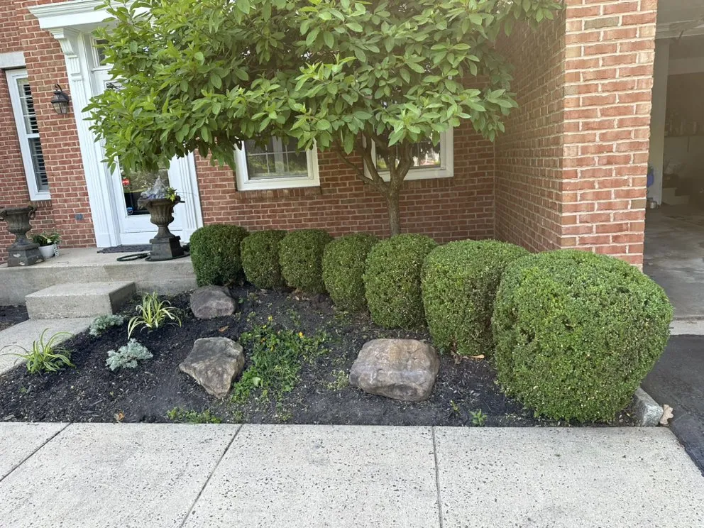 Affordable landscape design in Maple Glen, PA - UD Landscaping