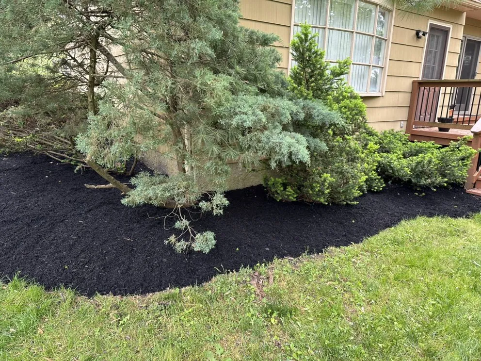 Affordable landscaping services in Maple Glen, PA - UD Landscaping