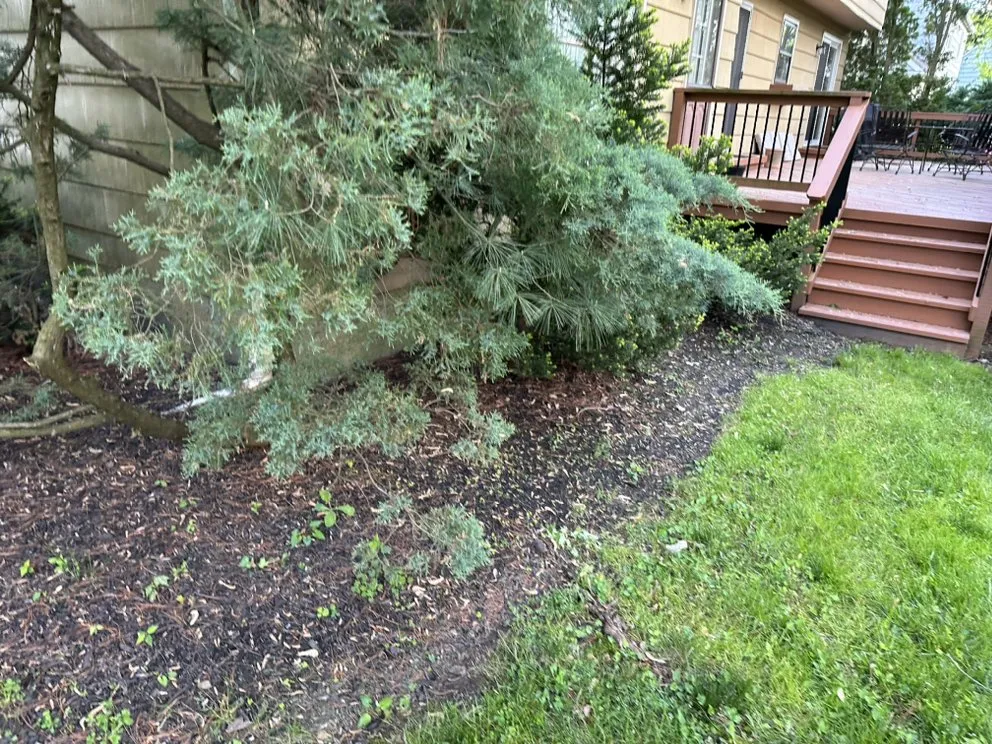 Local landscape design experts serving Maple Glen, PA - UD Landscaping