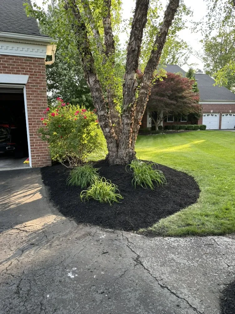 Expert residential landscaping for year-round maintenance in Maple Glen, PA by UD Landscaping