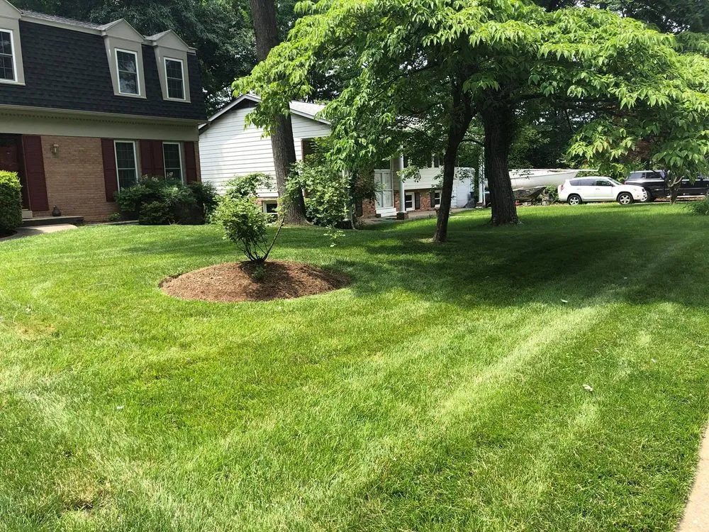 Local landscape design in Morristown, TN by Ugalde Mowing Service