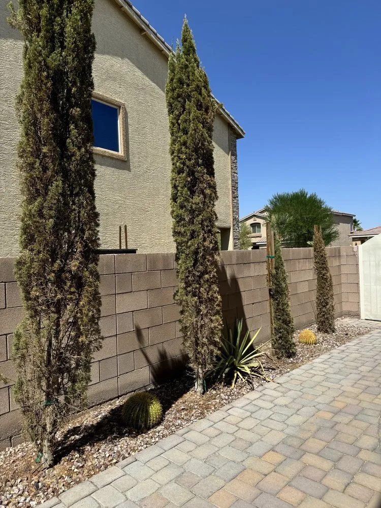 Reliable yard cleanup service in Las Vegas, NV by Ugarte Landscapes & Irrigation Repair