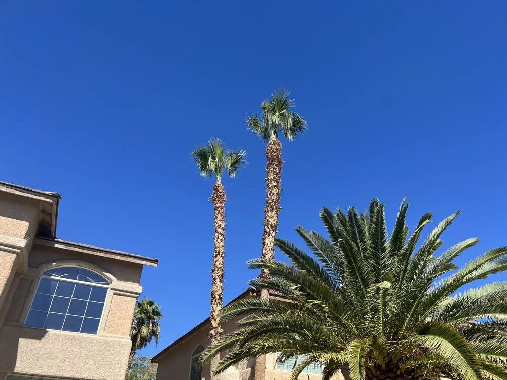 Reliable yard maintenance experts serving Las Vegas, NV - Ugarte Landscapes & Irrigation Repair