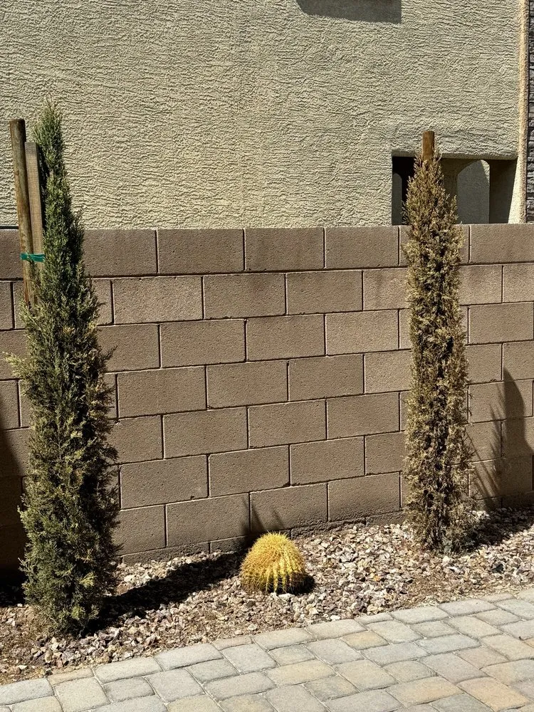 Custom garden landscaping for residential properties across Las Vegas, NV - Ugarte Landscapes & Irrigation Repair