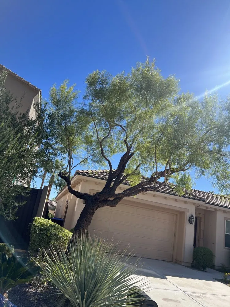 Local outdoor landscaping near you in Las Vegas, NV by Ugarte Landscapes & Irrigation Repair