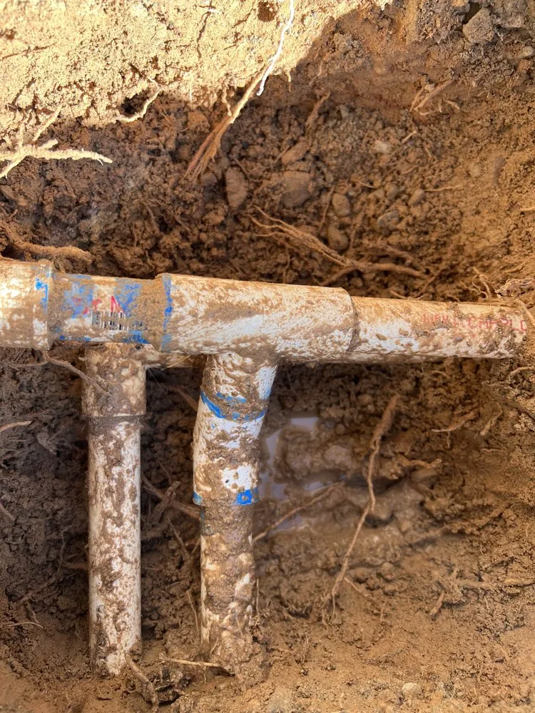 Top-rated landscaping services in Las Vegas, NV - Ugarte Landscapes & Irrigation Repair