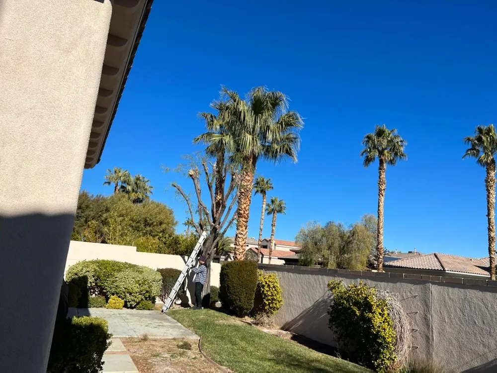 Top-rated yard maintenance in Las Vegas, NV - Ugarte Landscapes & Irrigation Repair