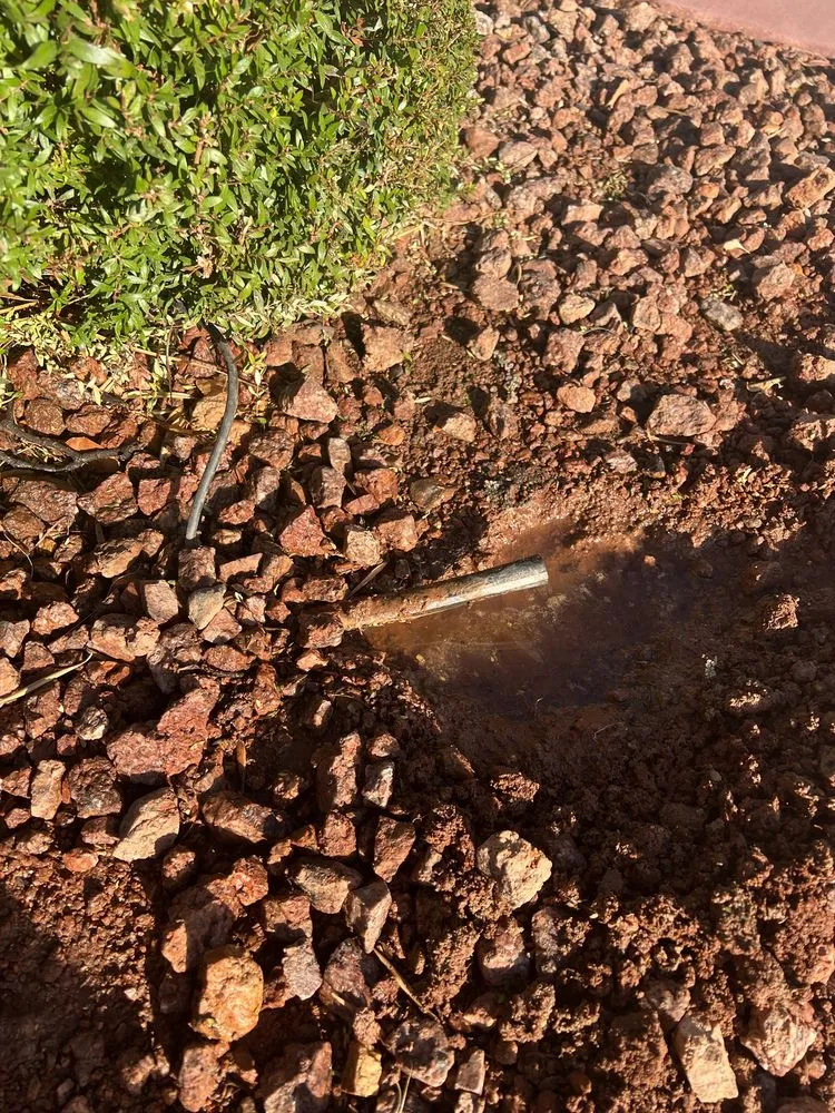 Custom landscape design in Las Vegas, NV by Ugarte Landscapes & Irrigation Repair