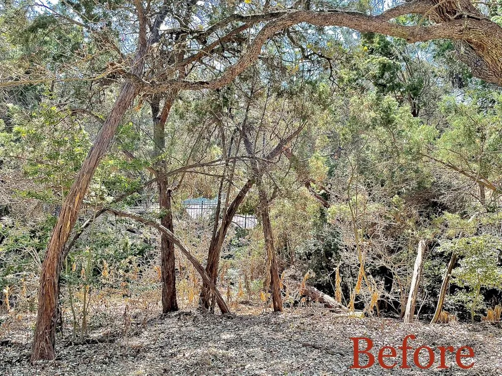 Top-rated residential landscaping in Manor, TX - Ugarte Landscapes &Tree Care