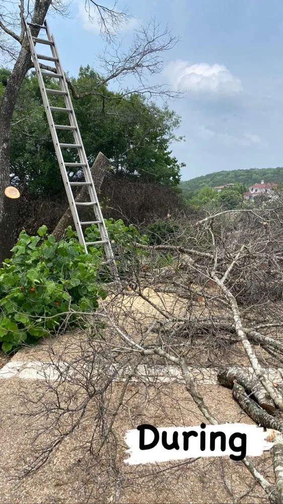 Reliable landscape installation in Manor, TX by Ugarte Landscapes &Tree Care