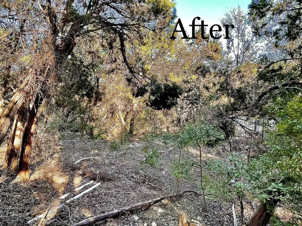 Professional garden landscaping in Manor, TX - Ugarte Landscapes &Tree Care