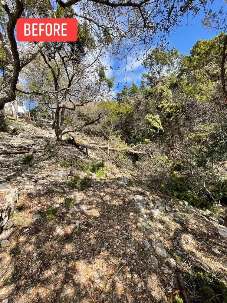 Top-rated lawn care service in Manor, TX by Ugarte Landscapes &Tree Care