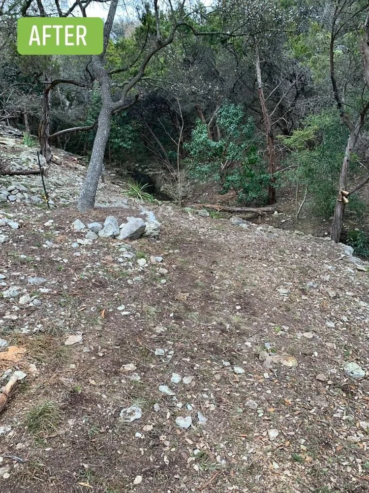 Professional residential landscaping in Manor, TX - Ugarte Landscapes &Tree Care