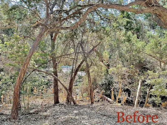 Ugarte Landscapes &Tree Care Logo