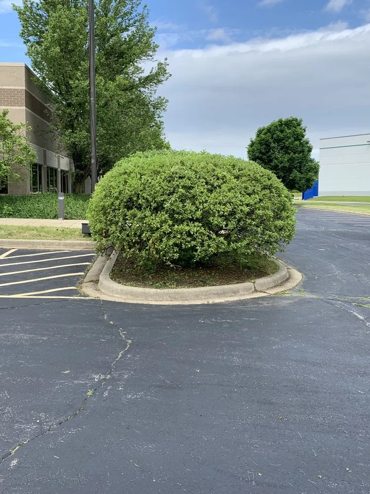 Local lawn mowing service for beautiful yards in Round Lake Beach, IL by Ugarte Landscaping