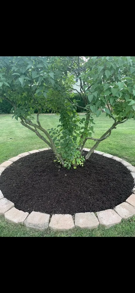 Custom landscaping services for outdoor upgrades across Round Lake Beach, IL - Ugarte Landscaping