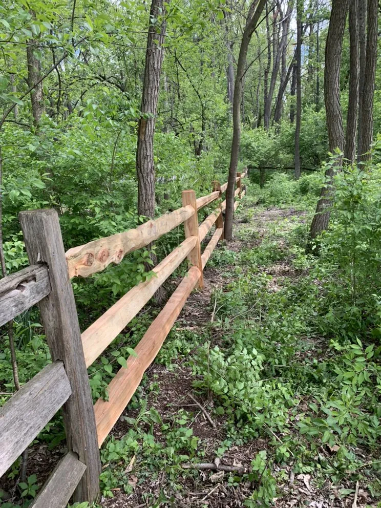 Affordable yard cleanup service for year-round maintenance in Round Lake Beach, IL by Ugarte Landscaping