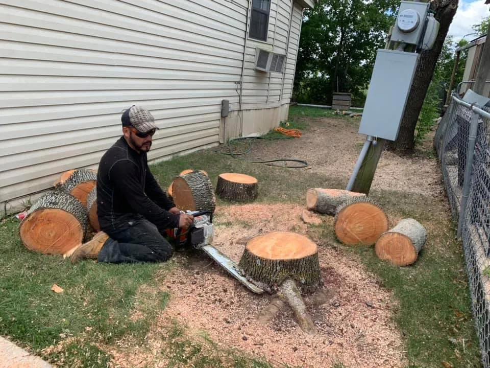 Trusted landscaping services experts serving Pflugerville, TX - Ugarte Tree Service